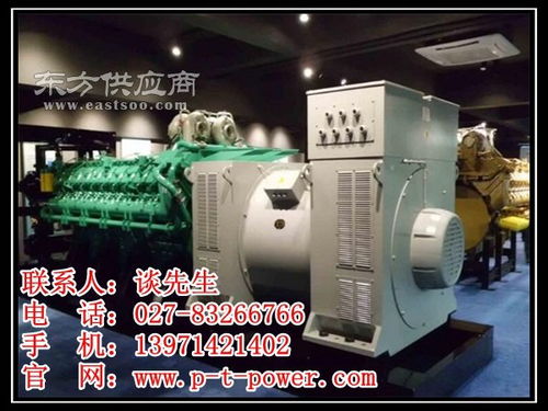 新洲发电设备,武汉发电设备出租,250KW发电设备租赁图片